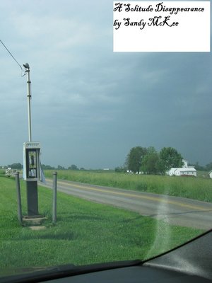 cover image of A Solitude Disappearance